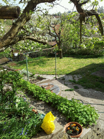 20120427161418.webp