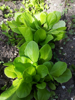 20120427161754.webp