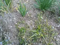 DSC00828.webp