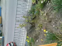 DSC00829.webp