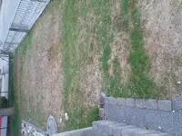 DSC00831.webp