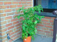 BILD0774.webp