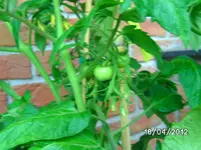 BILD0776.webp