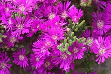 IMG_9161.webp
