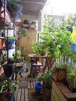 P1170164.webp