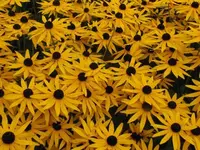Bild 131.webp