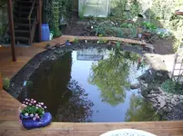 Teich 2008.webp