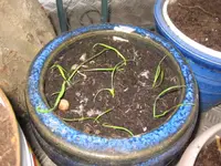 Bunny_Tales_4_12.webp