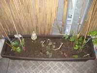 Winden_4_12 (2).webp