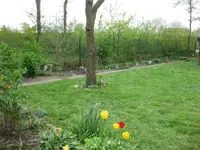 Garten (2).webp