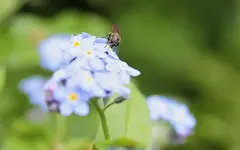 _MG_2403-2.webp