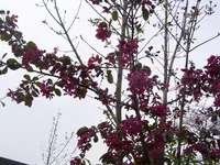 Bild 006.webp