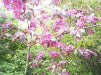 Bild 005.webp