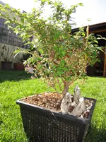 Nic28.04.12 002.webp