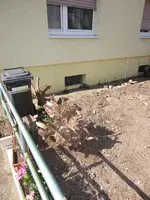 Nic28.04.12 012.webp