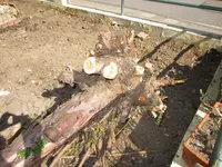 Nic28.04.12 014.webp