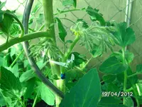BILD0777.webp