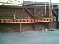 topfbepflanzung 2012 001.webp