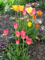 IMG_0473k.webp