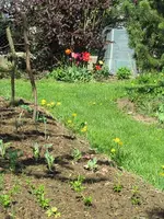 IMG_0488k.webp