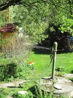 IMG_0492k.webp