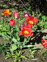IMG_0493k.webp