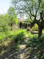 IMG_0497k.webp