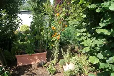 DSC09052 (2).webp