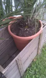 IMAG0489.webp
