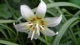 DSCN2331.webp