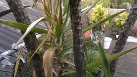 290420122019.webp