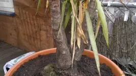 290420122021.webp