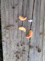 28042012792.webp