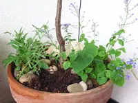 BILD0232.webp