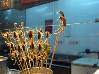 DSC01340.webp