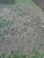 2012-04-29 16.49.55.webp