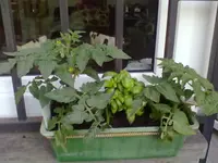 29042012439.webp