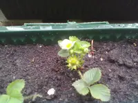 12042012417.webp