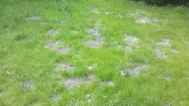 2012-04-29_14-01-37_233.webp
