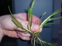 CIMG1343.webp