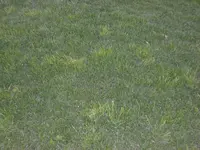 CIMG1347.webp