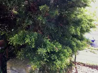 photo-10.webp