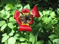 Bild 031.webp