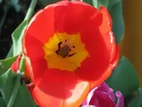 Bild 232.webp