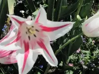 Bild 379.webp