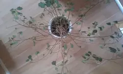 IMAG0192.webp