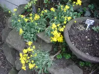 CIMG7157.webp