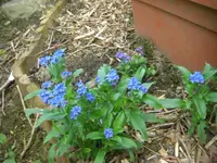 CIMG7159.webp