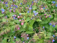 Foto14780.webp