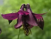 images1.webp